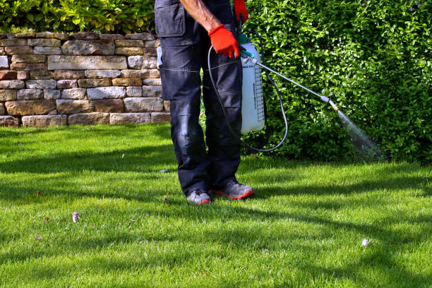 Pest Control for Hotels in Hopewell, TN